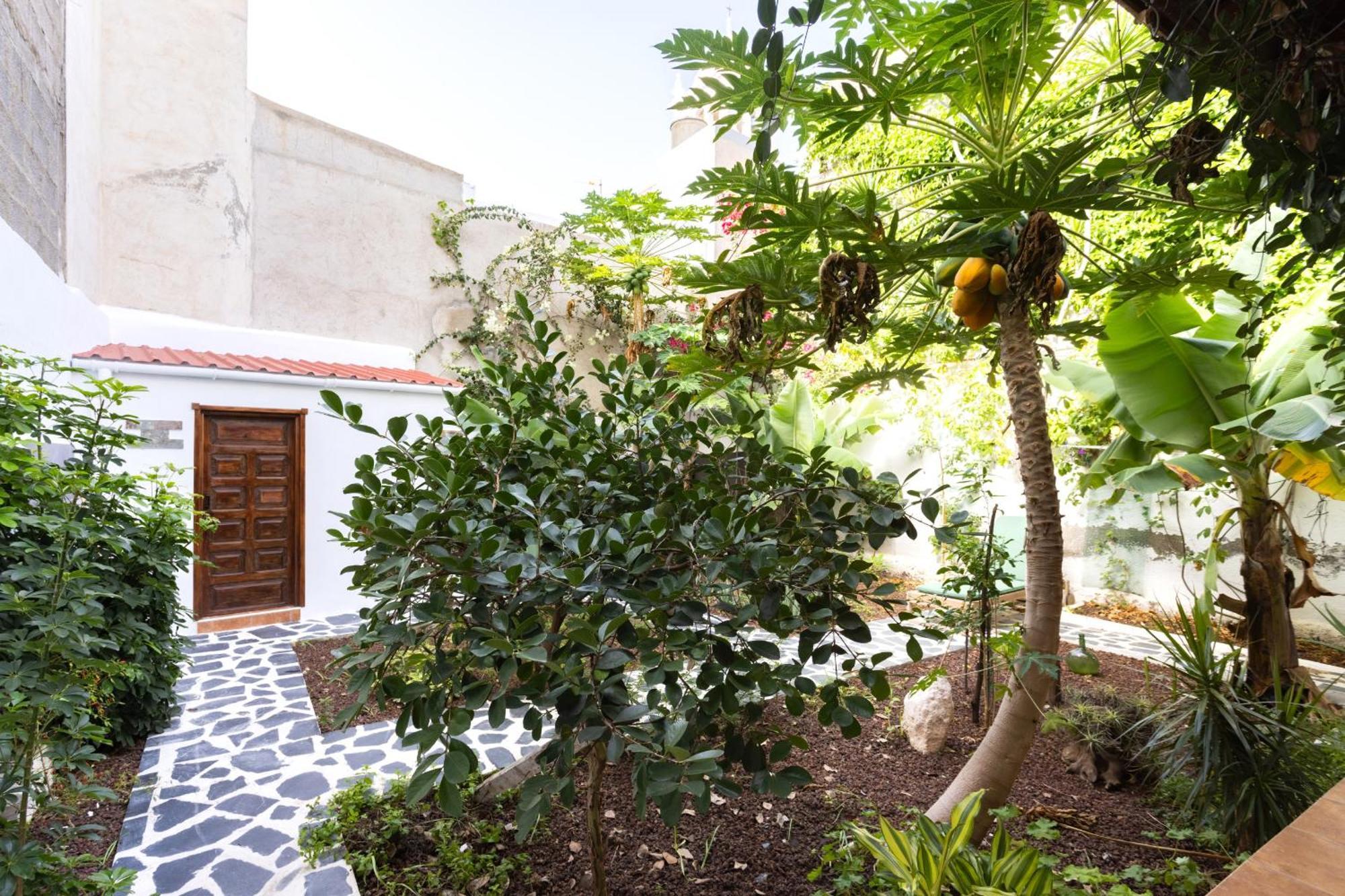 Garachico Center Secret Garden Villa Kültér fotó